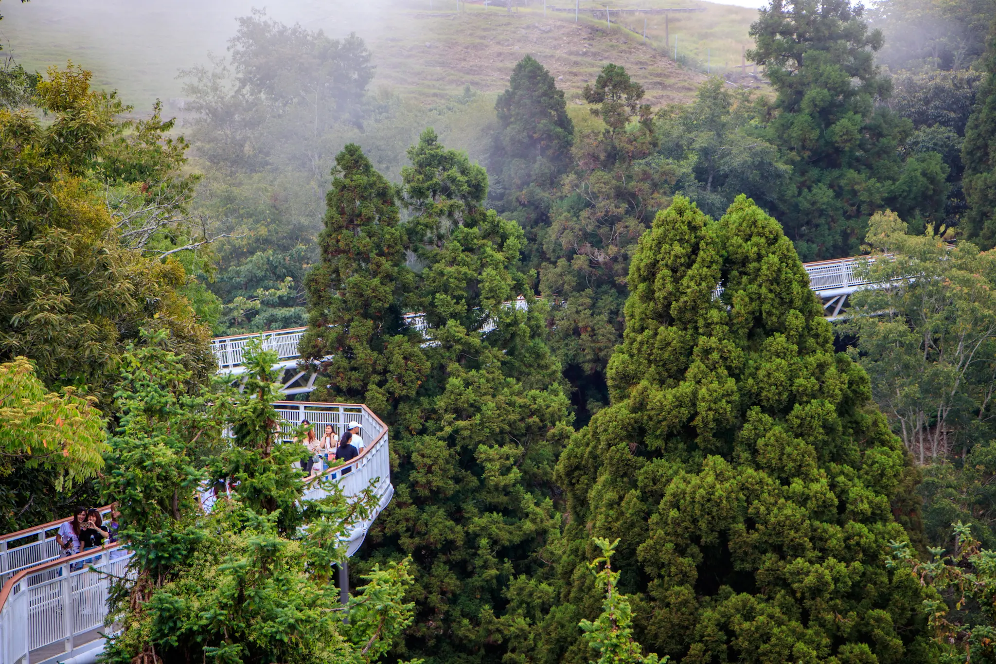 taiwan photo